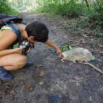 Un calin au paresseux très paresseux.